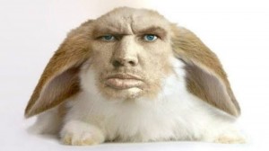 Создать мем: кролик баран, валакас кролик, кролик глад валакас
