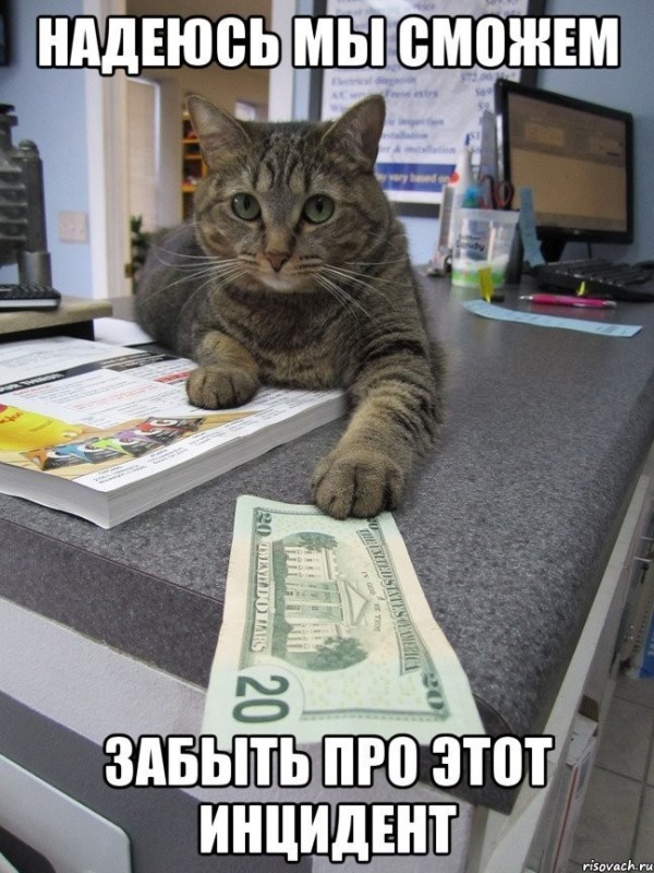 Create meme: rich cat, seals with money, cat money