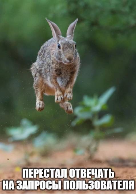 Create meme: The running hare, the hare of hares, The hare