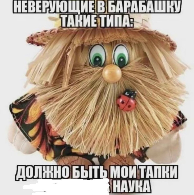 Create meme: domovenok amulet, memes about the brownie, toy brownie