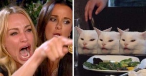 Создать мем: мемы с котами, девушка орёт на кота мем, мемы с котом и актрисой