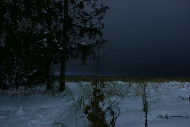 Create meme: winter is dark, winter forest night moon, in the winter forest