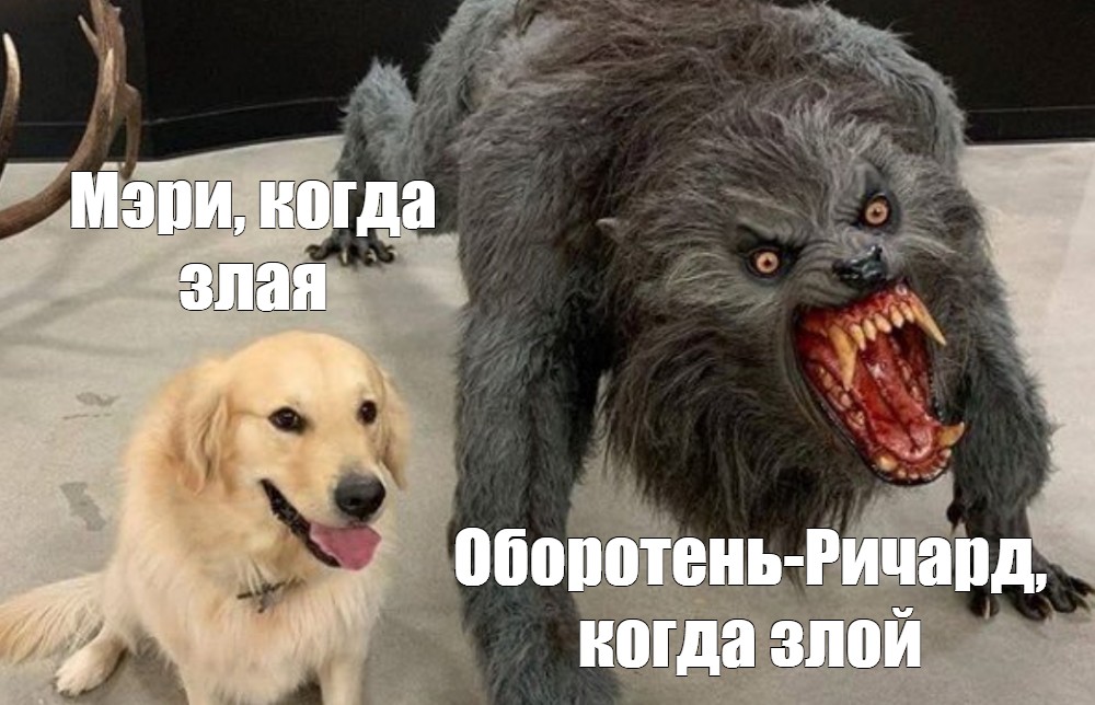 Создать комикс мем "dog, собака, собака и оборотень мем" - Комиксы - Meme-arsena