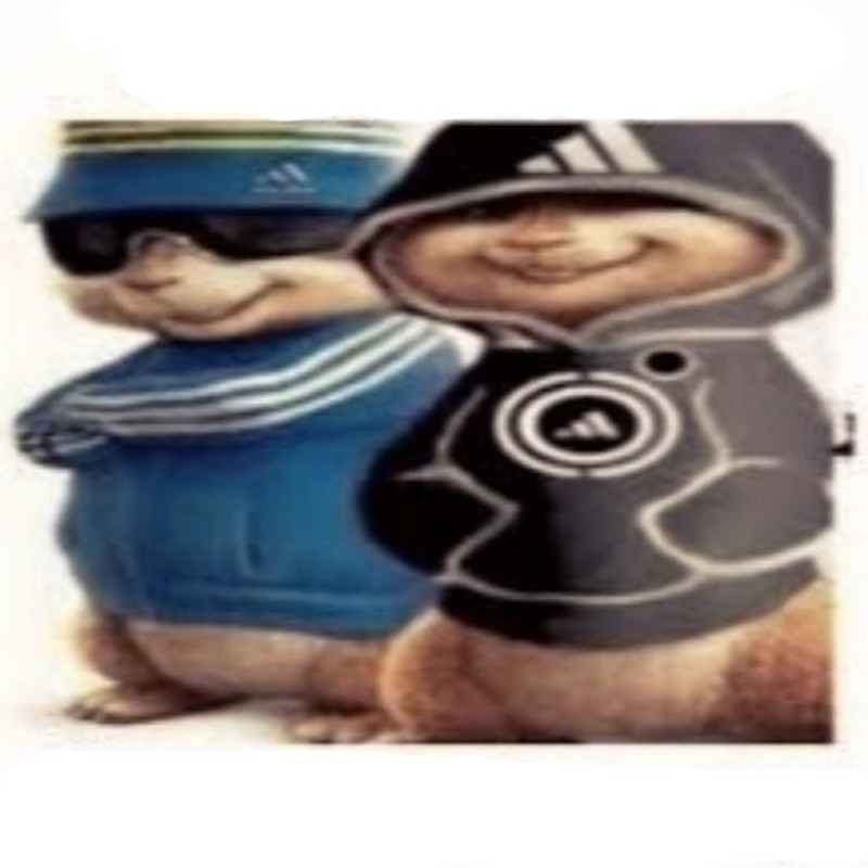 Create meme: Alvin and the Chipmunks in Adidas, The sun is setting bandits are coming out meme, Chipmunk in adidas