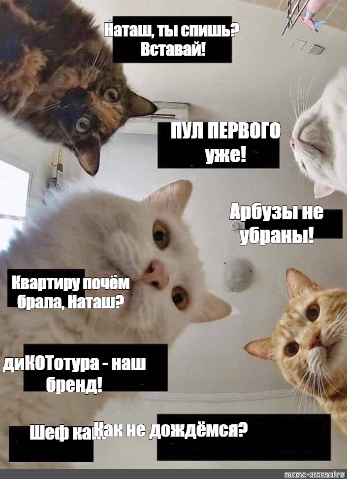 Почем брал