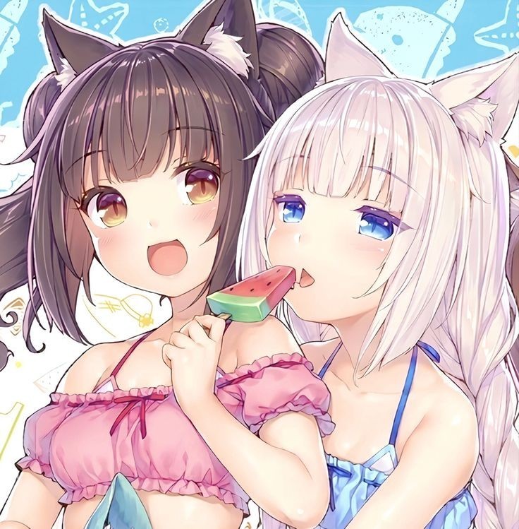 Create meme: some characters, anime nekopara, nekopara