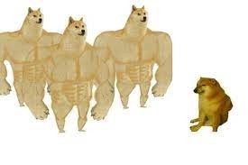 Create meme: the pumped-up dog from memes, the beefy dog meme, doge is a jock