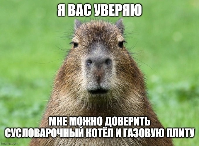 Create meme: capybara meme, capybara is funny, rodent capybara