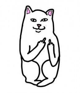Create meme: cat shows fakyu, pictures cat facts, ripndip logo