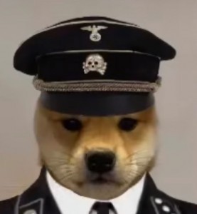 Создать мем: sad doge мем, собака, камера