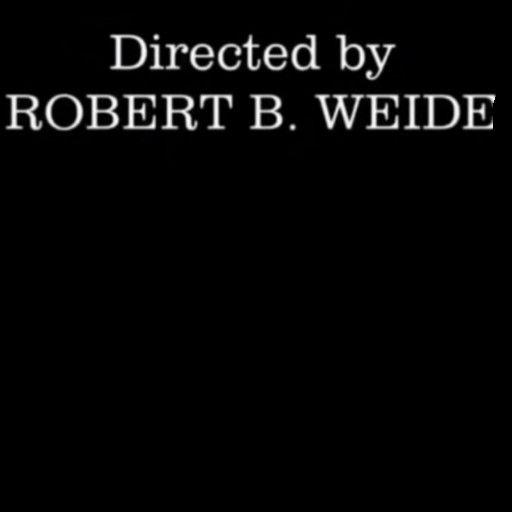 Directed by robert weide музыка. Режиссер Мем Режиссер Robert.