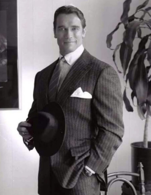 Create meme: Arnold Schwarzenegger in a suit in his youth, Arnold Schwarzenegger , Patrick Schwarzenegger