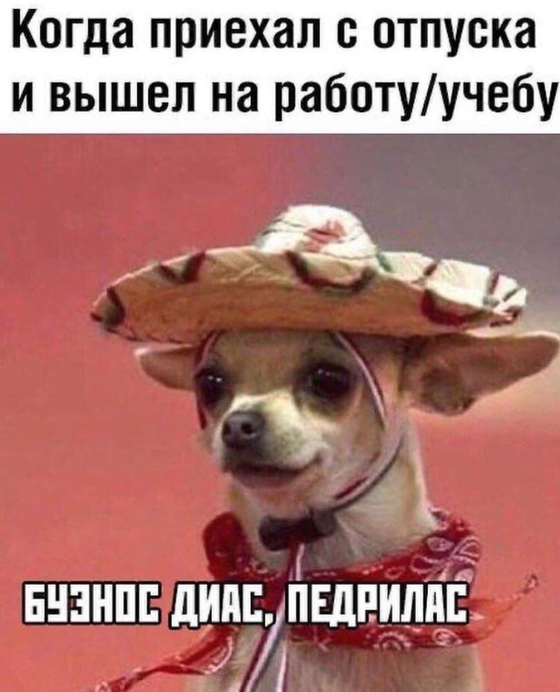 Создать мем 