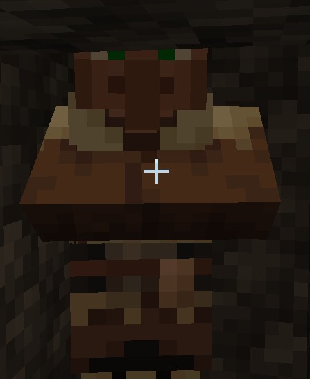 Create meme: minecraft villager , resident minecraft, Resident of Fletcher minecraft