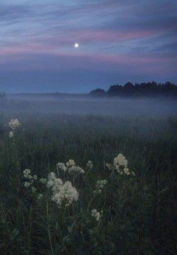 Создать мем: утренний пейзаж, пейзаж туман, летняя ночь