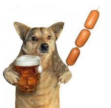 Создать мем: собака, собака держит пиво, собака с пивом и сосисками
