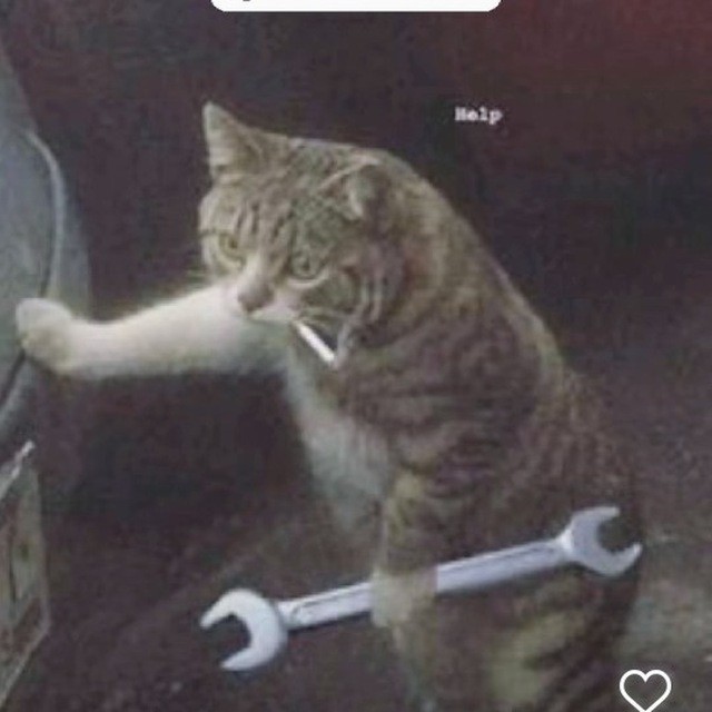 Create meme: a cat with a wrench and a cigarette, cat mechanic, The cat is a locksmith