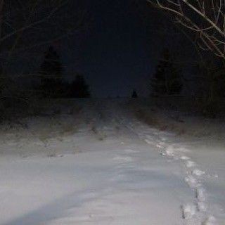 Create meme: in the winter forest, scary winter forest, winter forest at night