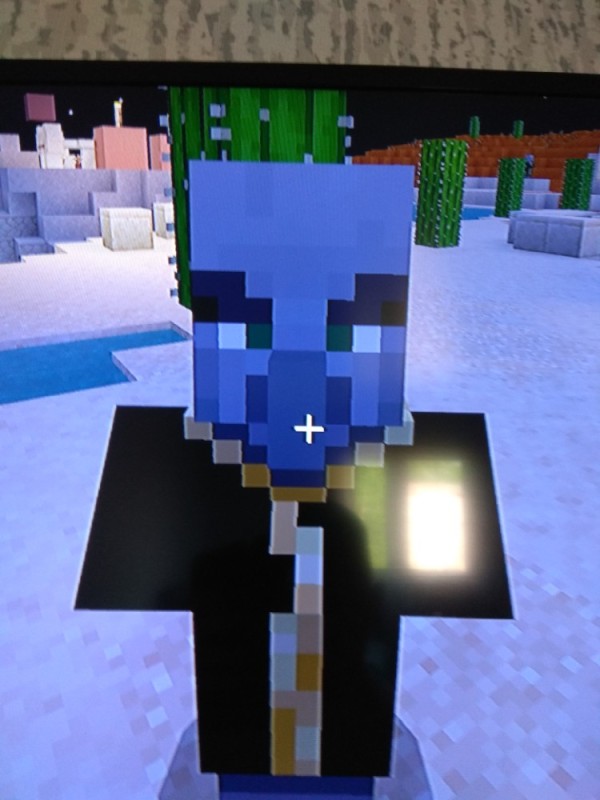 Create meme: minecraft , for minecraft skins, the champion of Minecraft