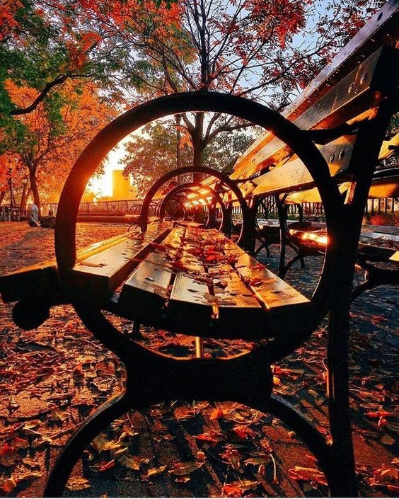 Create meme: autumn bench, autumn , in the autumn park