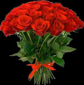 Create meme: red roses, bouquet of red roses, red roses