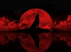 Создать мем: арт кровавая луна и волк, волк и красная луна, кровавая луна