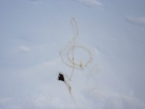 Create meme: footprints in the snow