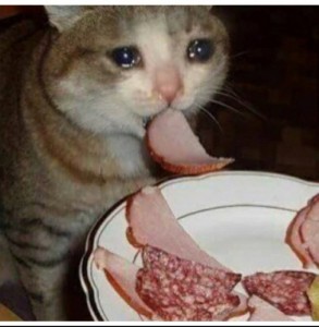 Create meme: the cat eats and cries, coughing cat meme, cat