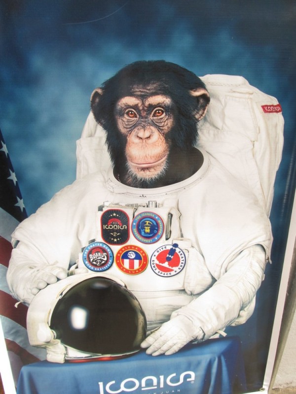 Create meme: Monkey Able is an astronaut, A monkey in space, dope lemon band