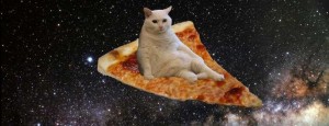 Create meme: cat with pizza, pizza cat