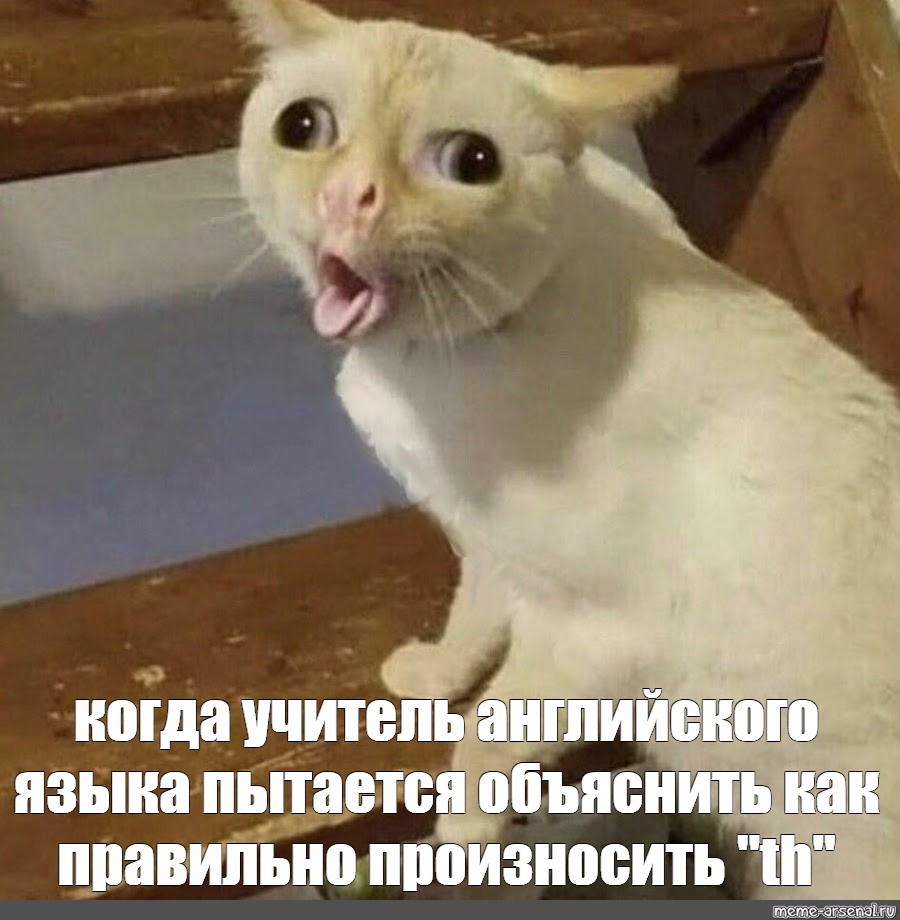 Котик кашляет