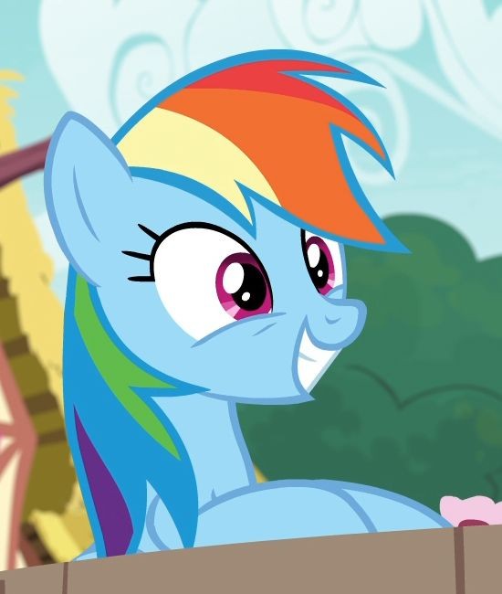 Create meme: rainbow dash , my little pony rainbow dash , rainbow dash 