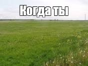 Create meme: land , kashira taraskovo village cedar street, sections of the DNP of Orzhitsa