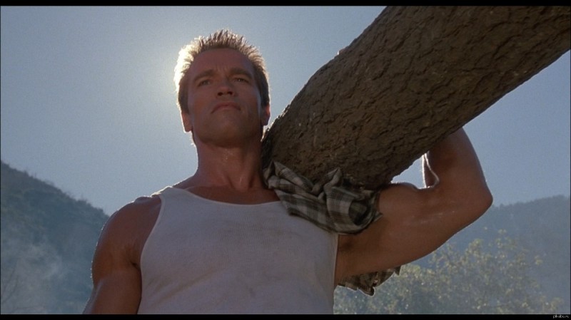 Create meme: Arnold Schwarzenegger , commando schwarzenegger with a log, Schwarzenegger with a log 