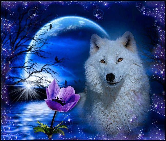 Create meme: rhinestone painting wolves, wolf moon background, white wolf