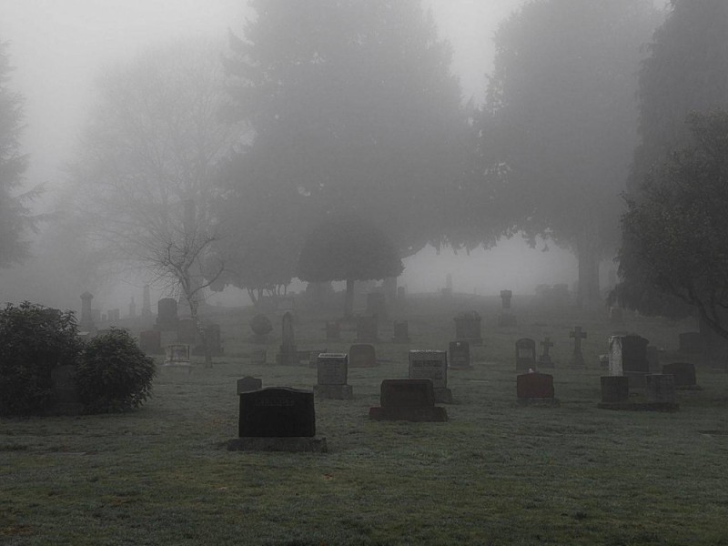 Create meme: grave cemetery, background of the grave, cemetery in the fog