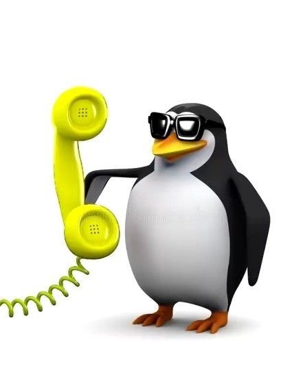 Create meme: evil penguin , the penguin with the phone, meme penguin phone