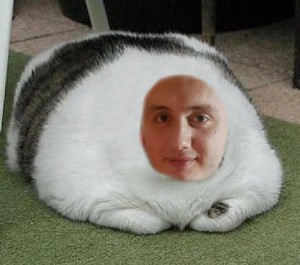 Создать мем: толстый кот, демотиваторы толстые коты, жирный кот