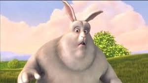 Create meme: The fat rabbit, the rabbit is big, chubby rabbit