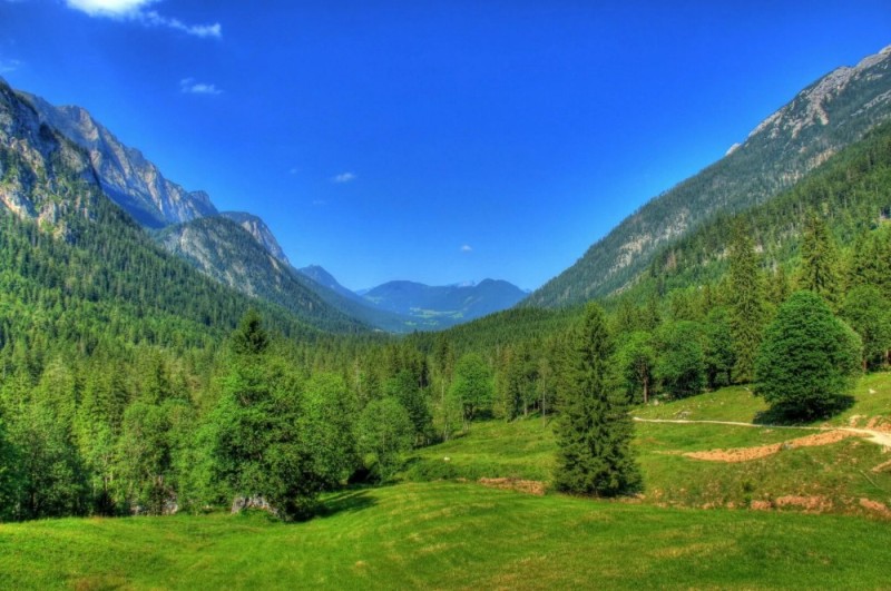 Create meme: Austria mountains Alps, forests and mountains, nature of Austria