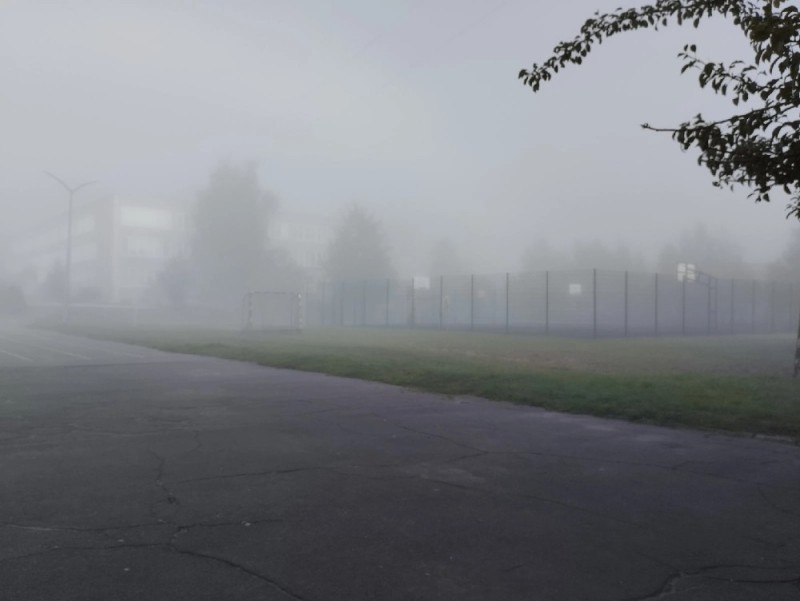 Create meme: silent hill mist, fog in the morning, landscape 