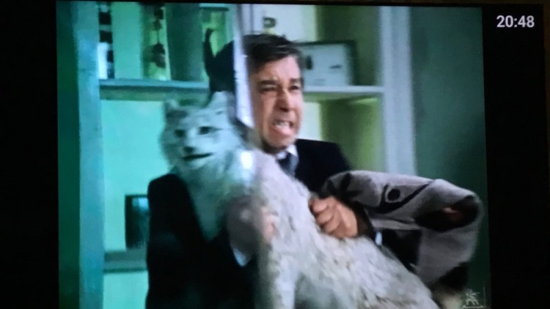 Create meme: The Ghost of the Cat 1961 film, The cat in the master and Margarita, cat 