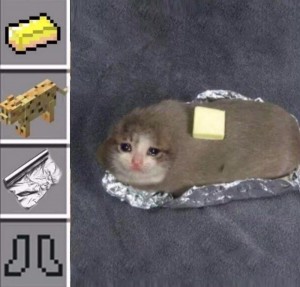 Create meme: sad cat meme Bank, sad cat meme, crying cat meme