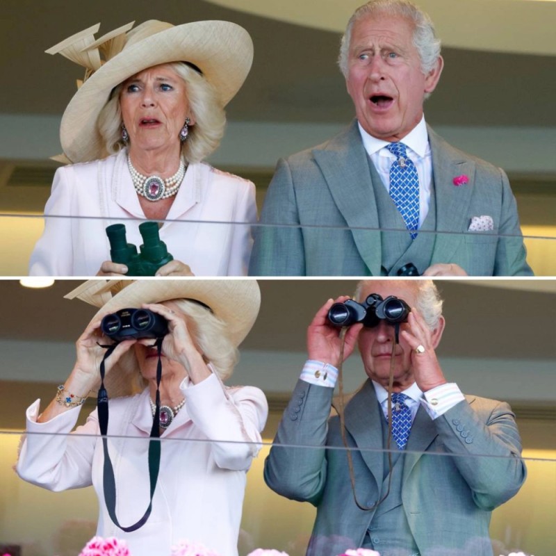 Create meme: Prince Charles and Camilla, Prince Charles , Prince Charles m Camilla