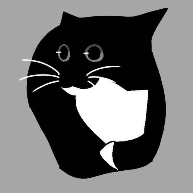 Create meme: cat, black and white cat, black cat 