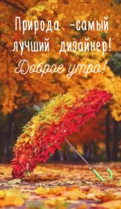 Create meme: autumn landscape, autumn, autumn morning