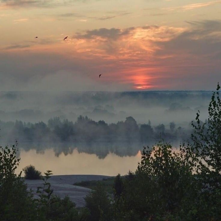 Создать мем: утро на реке, рассвет над озером, туман на рассвете