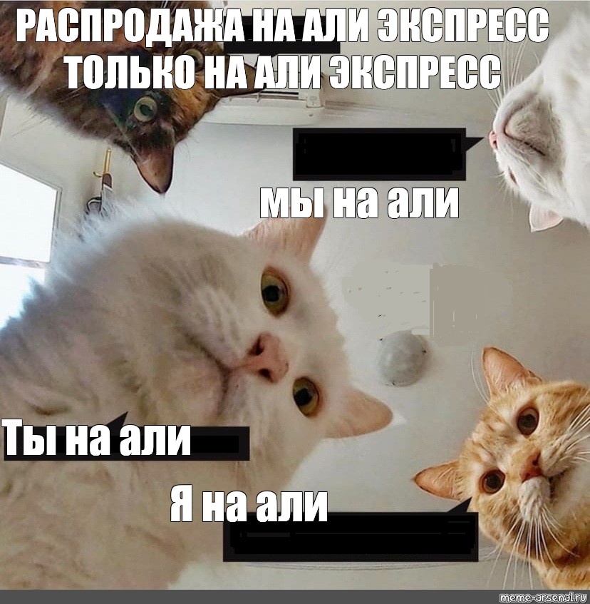 Песня мин але але але. Кофе Мем с котом. Котики смешные мемы.