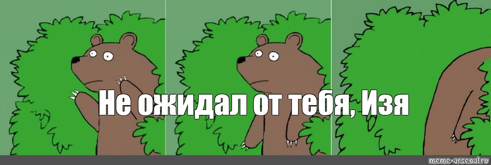 Медведь Мем. Медведь я устал от всего этого. Медведь из кустов Мем. Мем медведь я устал от всего этого.