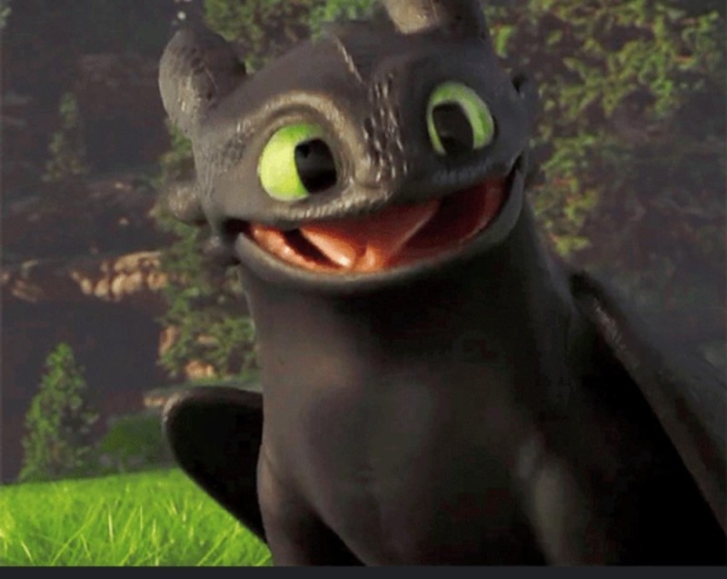 Create meme: Toothless cartoon, cartoon toothless, dragon toothless